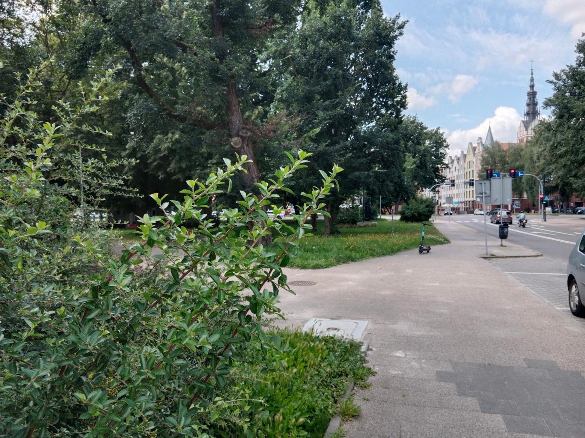 Apartament - Elblag Luaran gambar